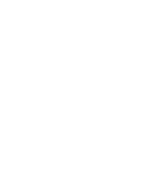 ROBOPTIC Logo